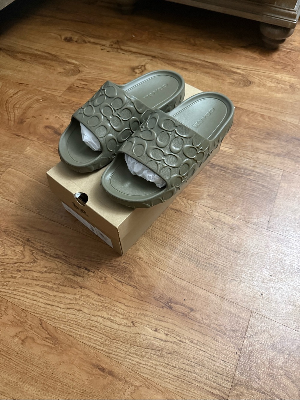 Coach Men Olive Green Signature Slide Sandals